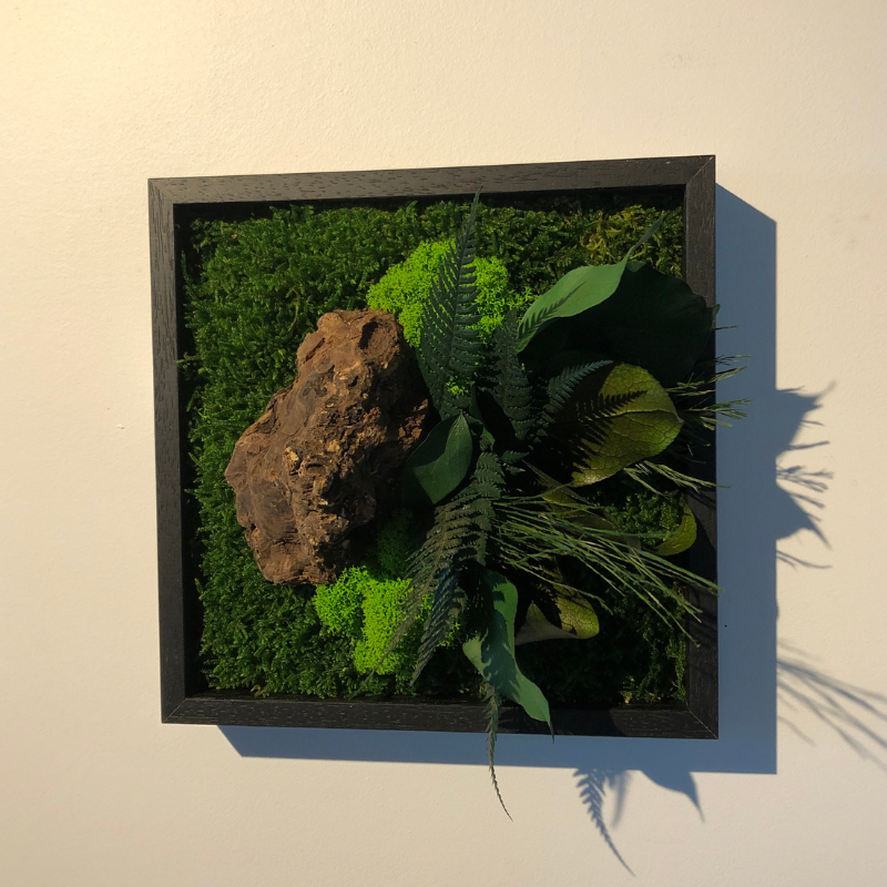 Stab canope mono - noir 22x22