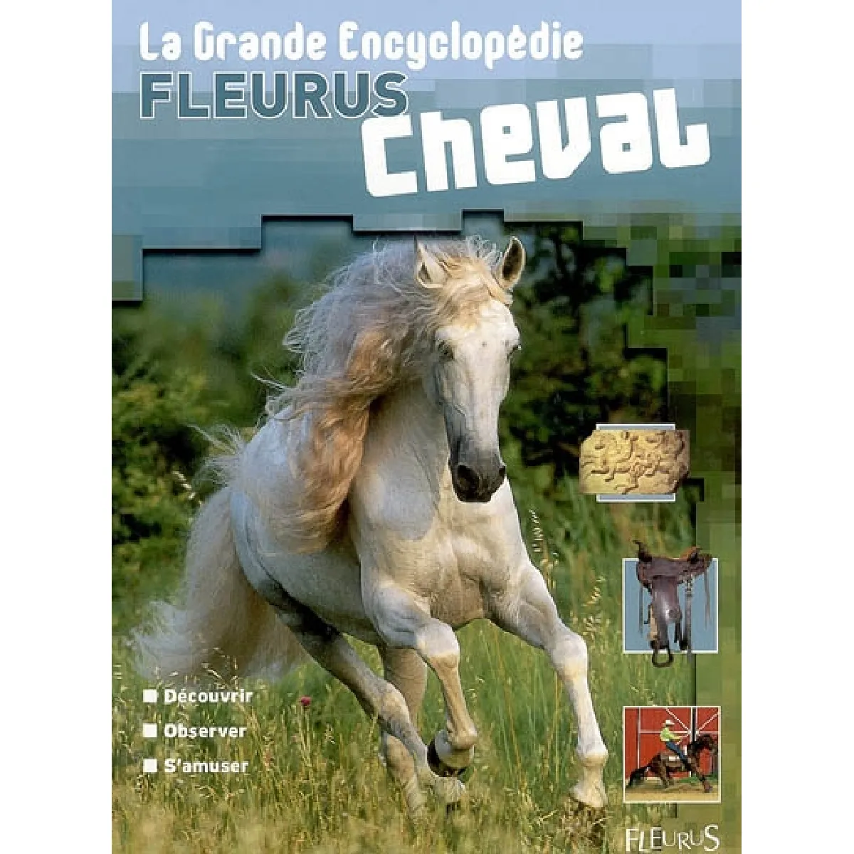 Cheval : découvrir, observer, s'amuser · Occasion