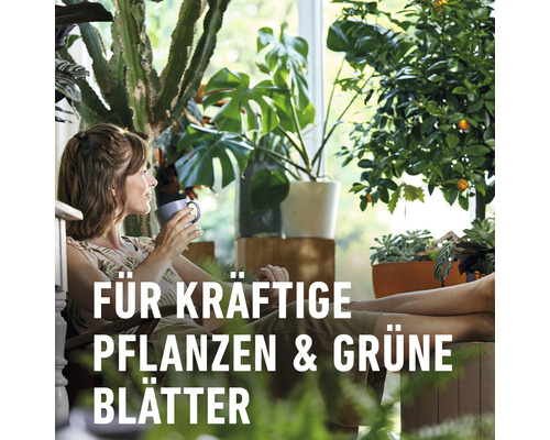 COMPO vloeibare meststof voor kamerplanten en palmen met extra kalium en ijzer, 1L
