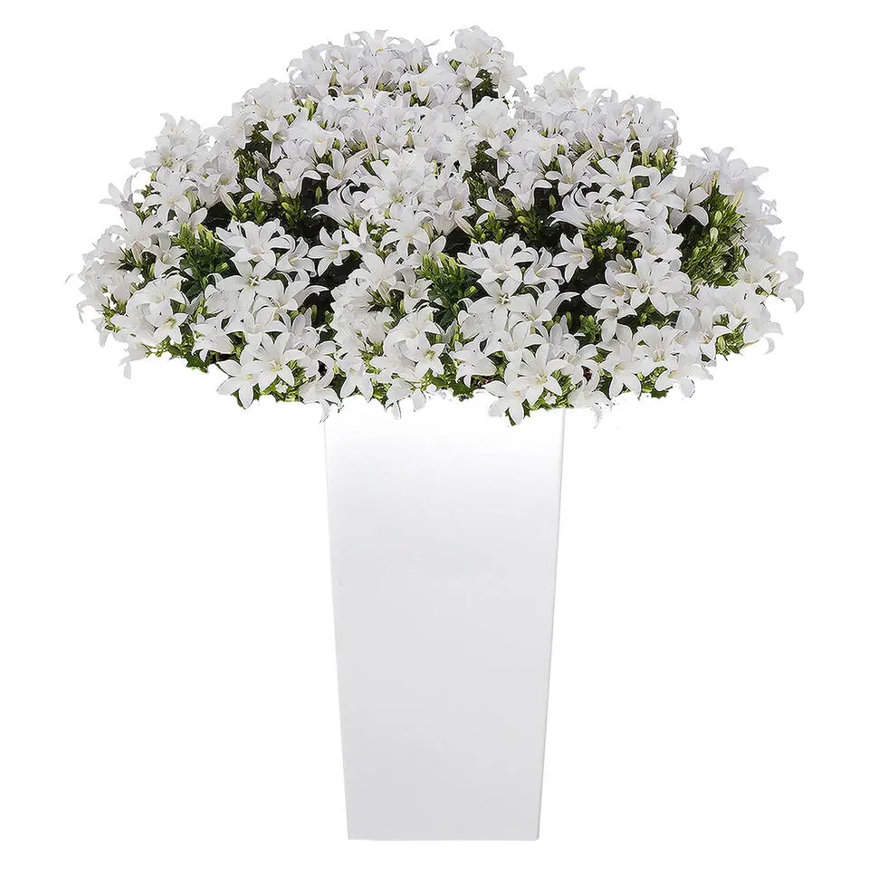 Prosperplast Bloempot Urbi - wit - kunststof - 75 cm
