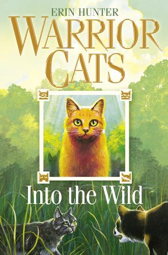 Into the Wild - Warriors Book 1 (Paperback)