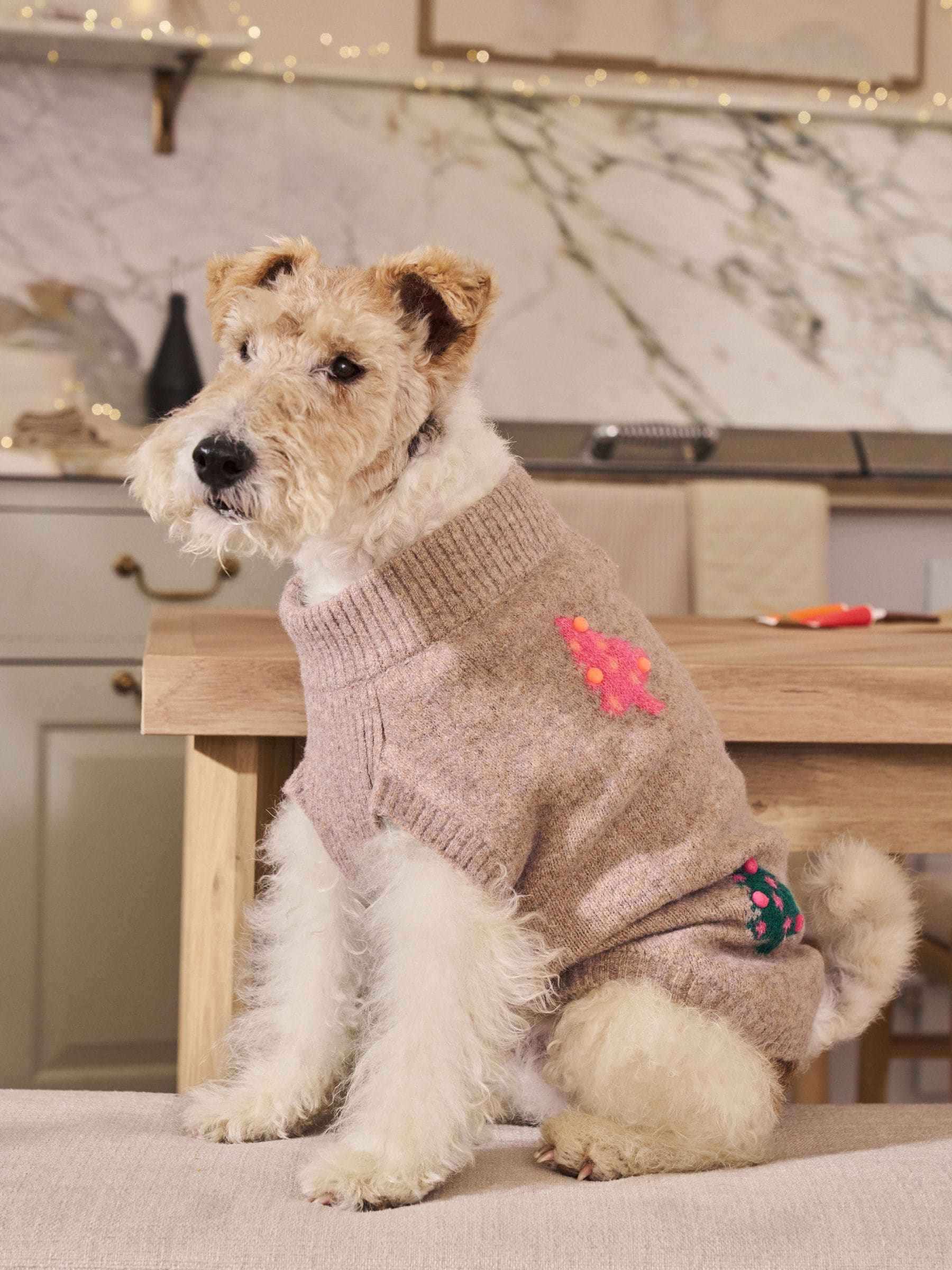Neutral Bright Tree - Matching Family Christmas Knitted Dog Jumper