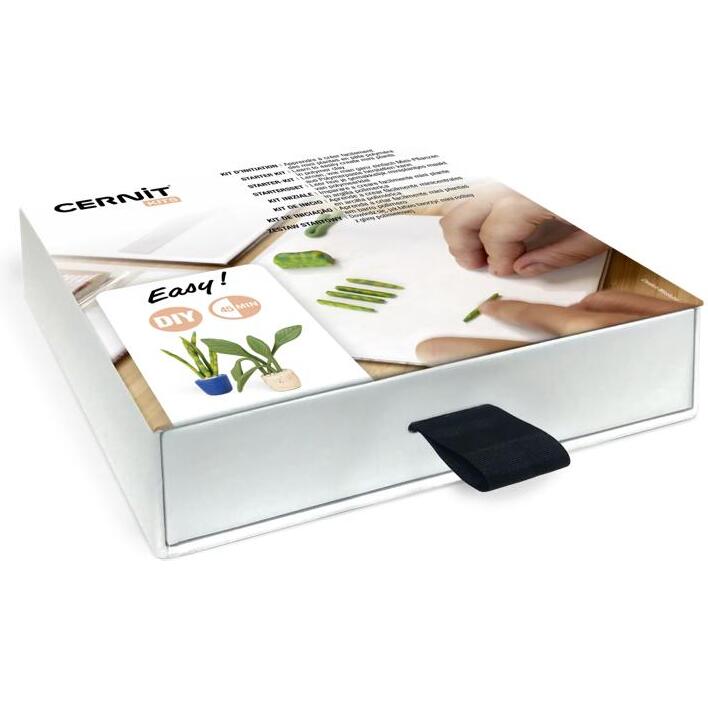 Kit starter, mini plantes