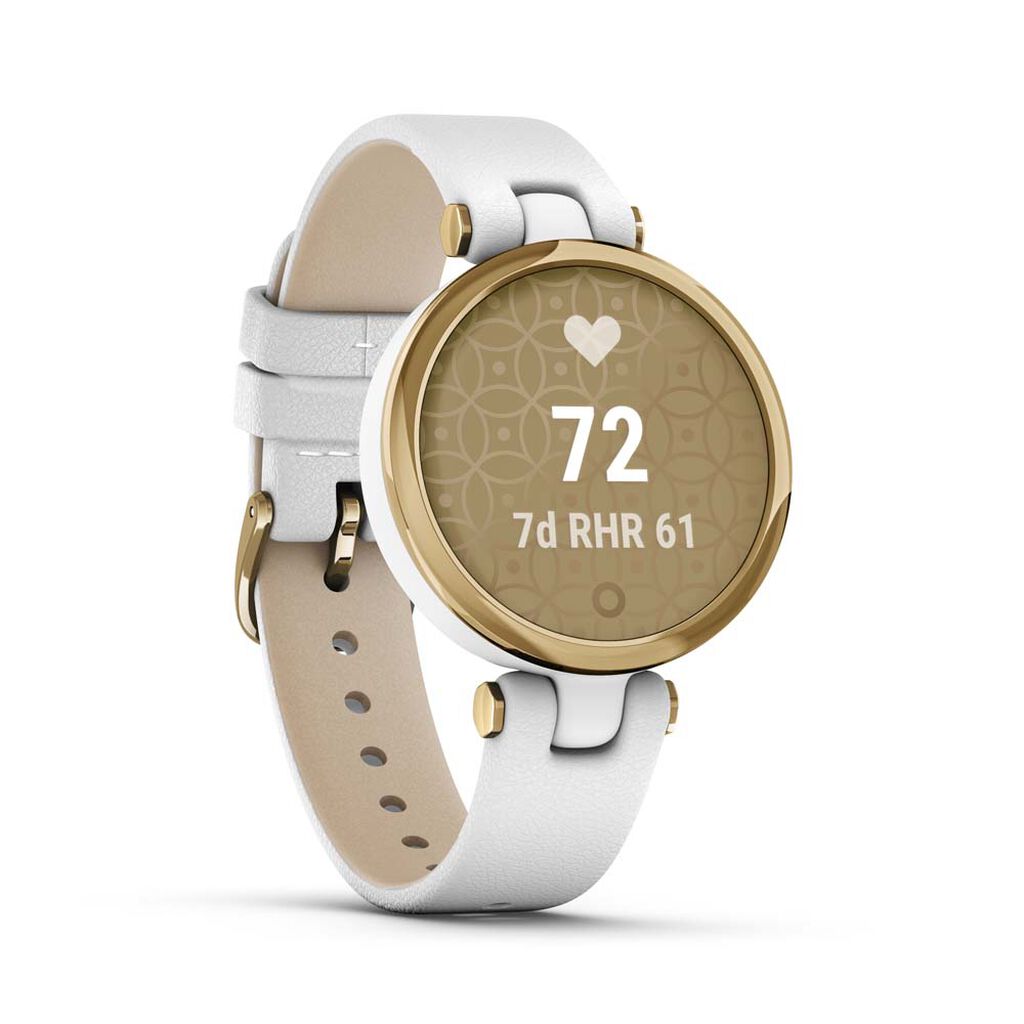 Montre Connectée Garmin Lily