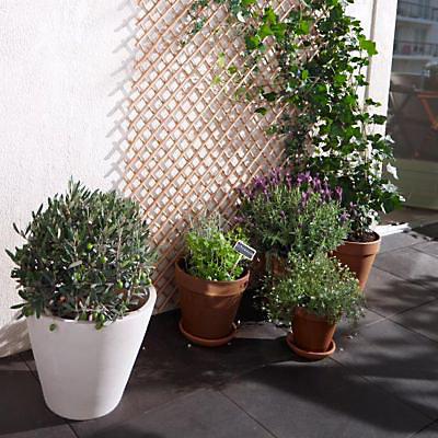 Pot pour plante brut en terre cuite Deroma ø 17 cm