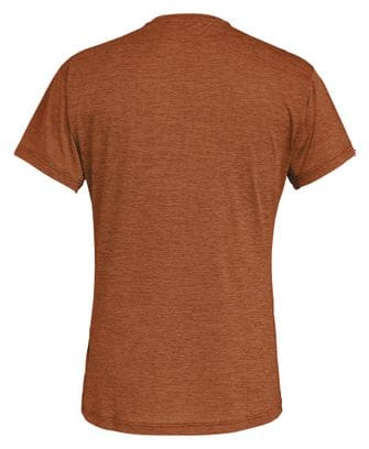 T-Shirt Technique Homme Salewa Puez Melange Marron