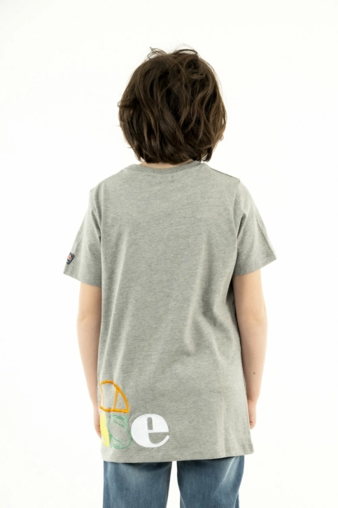 tee shirts manches courtes ellesse passare grey marl