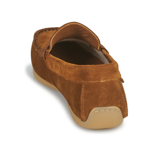 Carlington - ERMYL - Camel