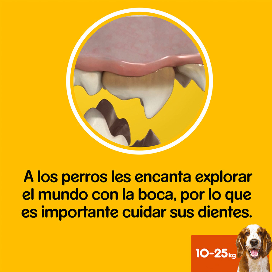 Petiscos dentais Pedigree Dentastix para cães de porte médio.