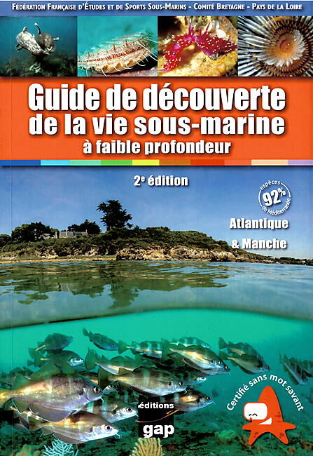 GAP - LA VIE SOUS MARINE A FAIBLE PROFONDEUR