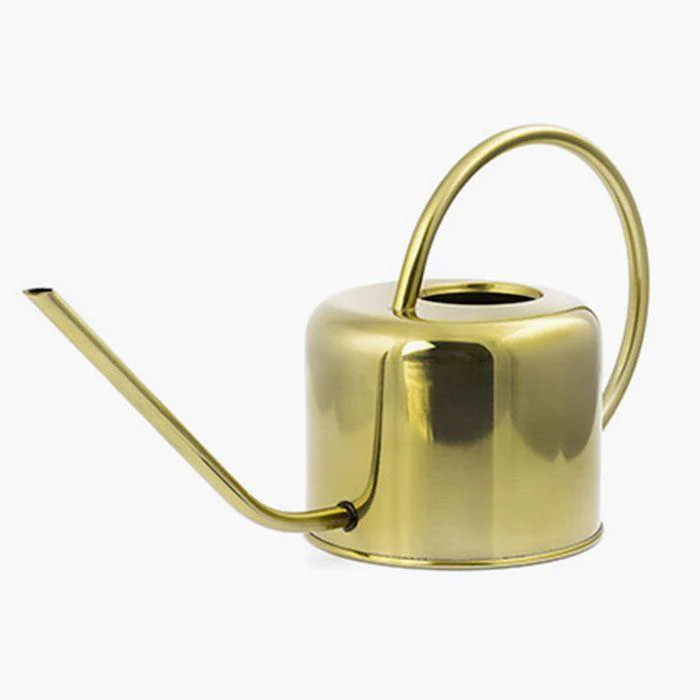 Arrosoir vintage doré en inox 1,2 litres Kikkerland Design