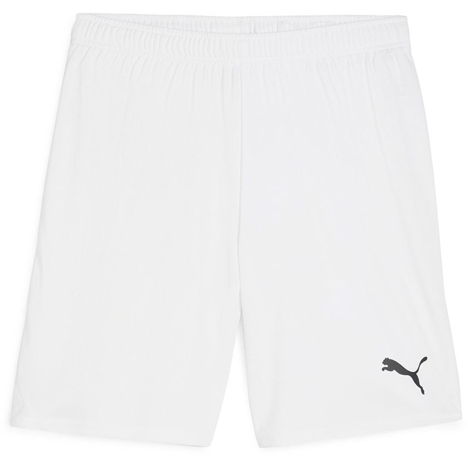 Puma GOAL Training Short