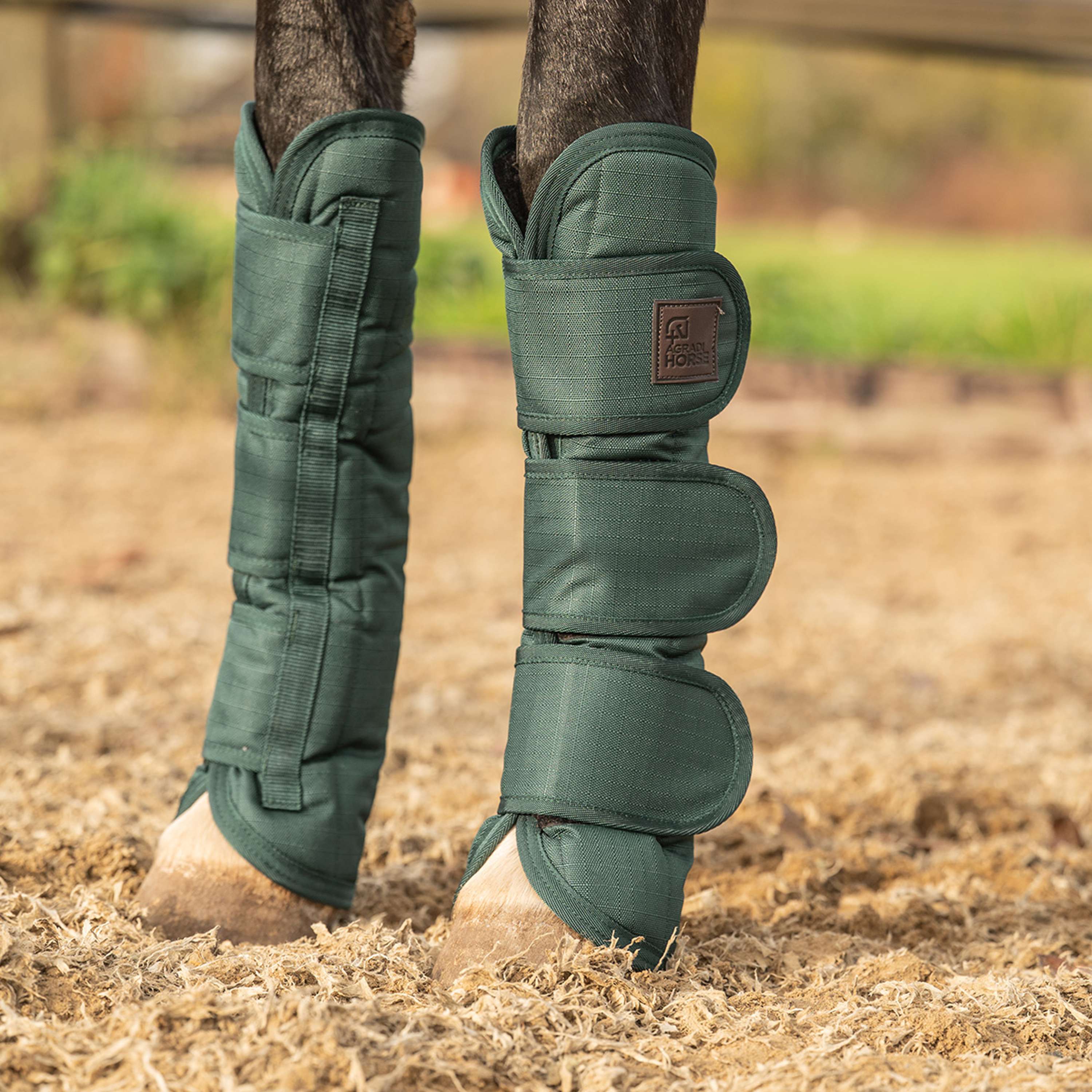 Agradi Horse Transportbeschermers 1200D Groen