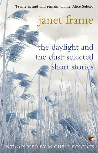 The Daylight And The Dust: Selected Short Stories - Virago Modern Classics (Paperback)