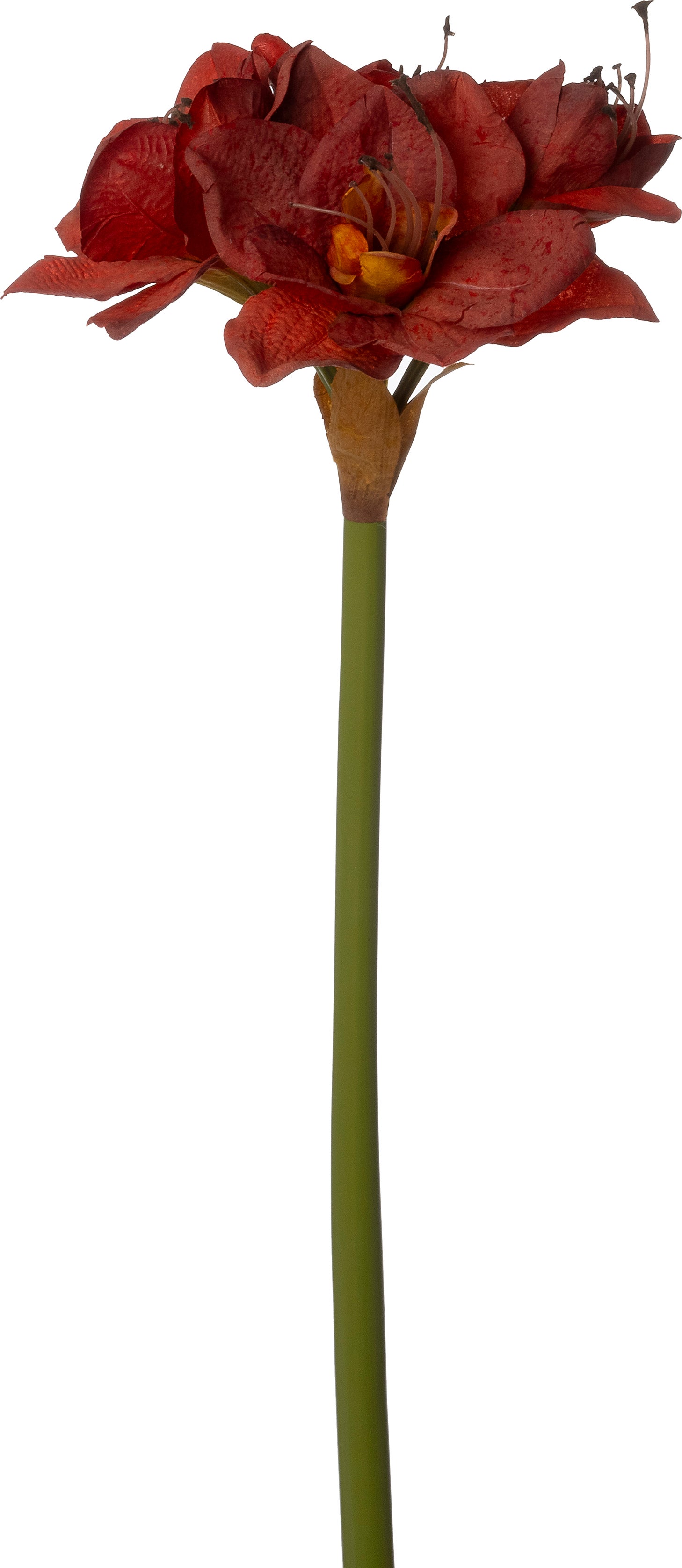 Intratuin kunstbloem Amaryllis oranje 72 cm