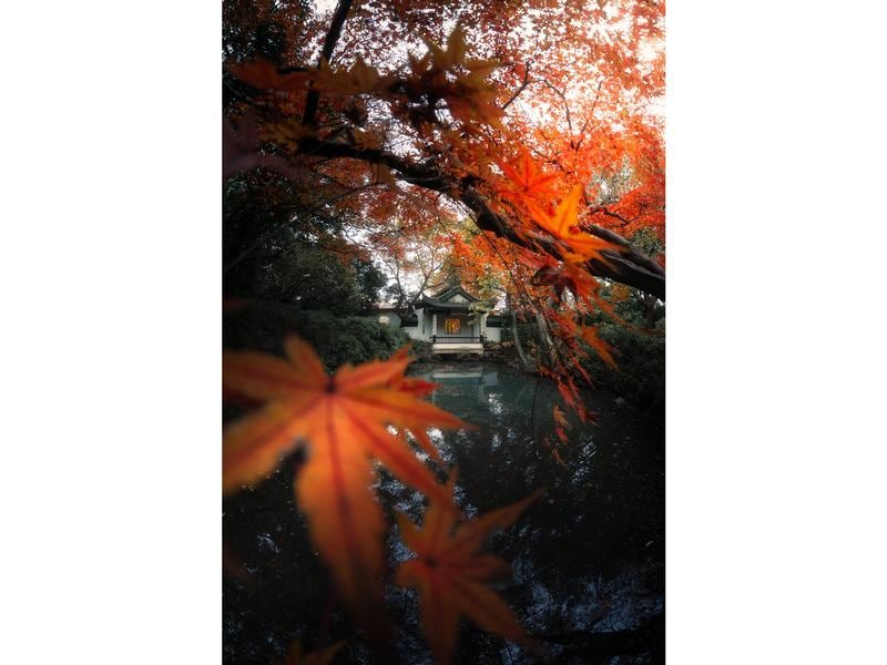 7Artisans Festbrennweite 7.5mm F/2.8 Fisheye Mark II – Niko Festbrennweite der zweiten Generation