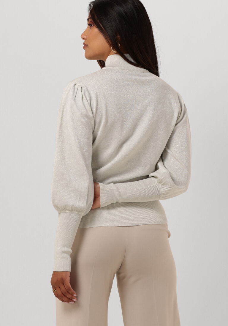 SILVIAN HEACH zilveren silvian heach trui lupetto m/l -sweater