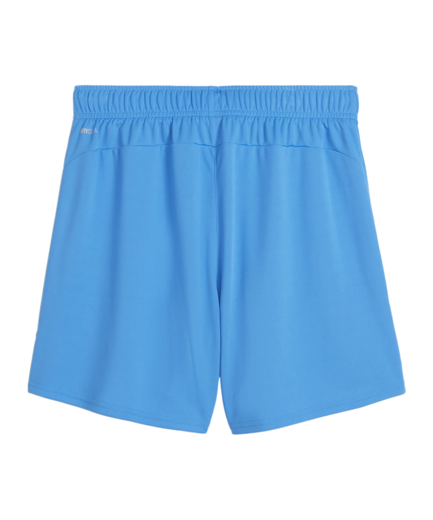 PUMA teamGOAL Short Damen Blau Weiss F02