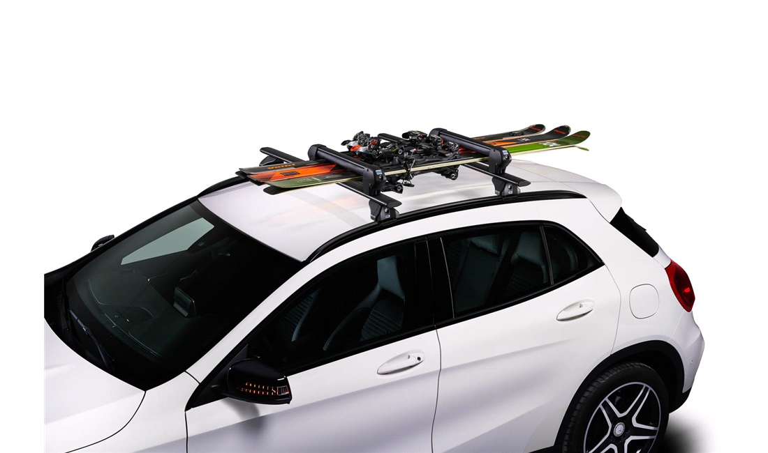 CRUZ Skiholder Dark 4