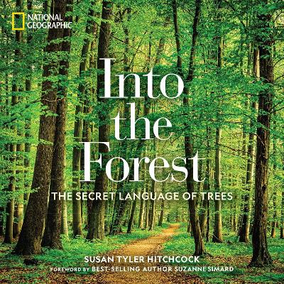 Into the Forest: The Secret Language of Trees (Hardback)