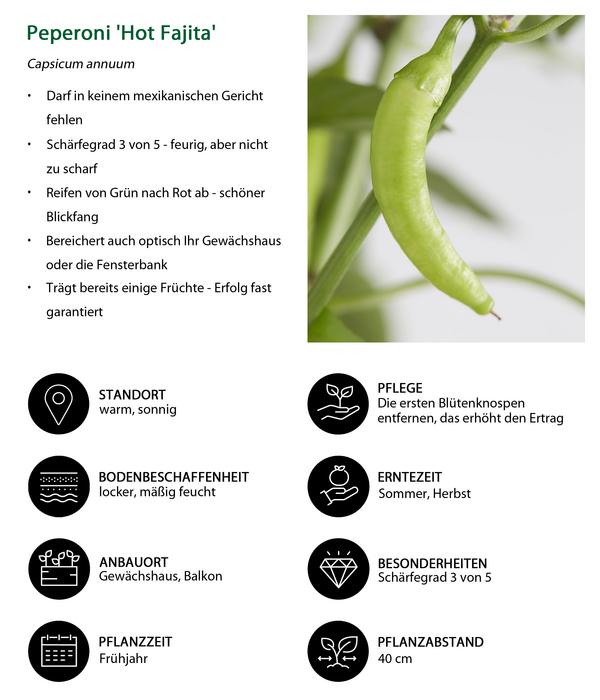 Peperoni 'Hot Fajita'