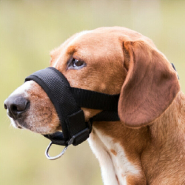 Muselière de dressage en nylon Trixie pour chien