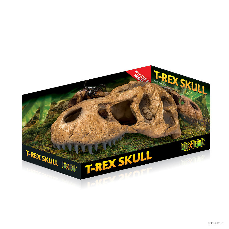 Caverna em forma de crânio de T-Rex Exo Terra para terrários