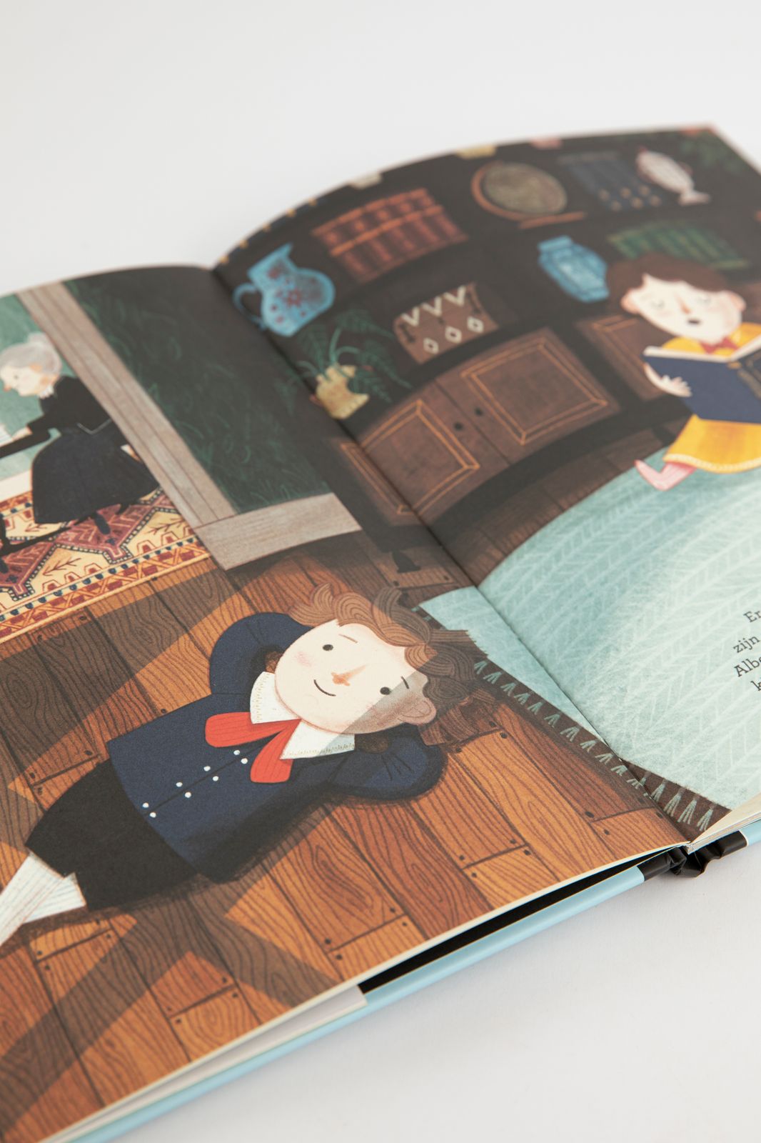 Boek Little people, Big Dreams Albert Einstein