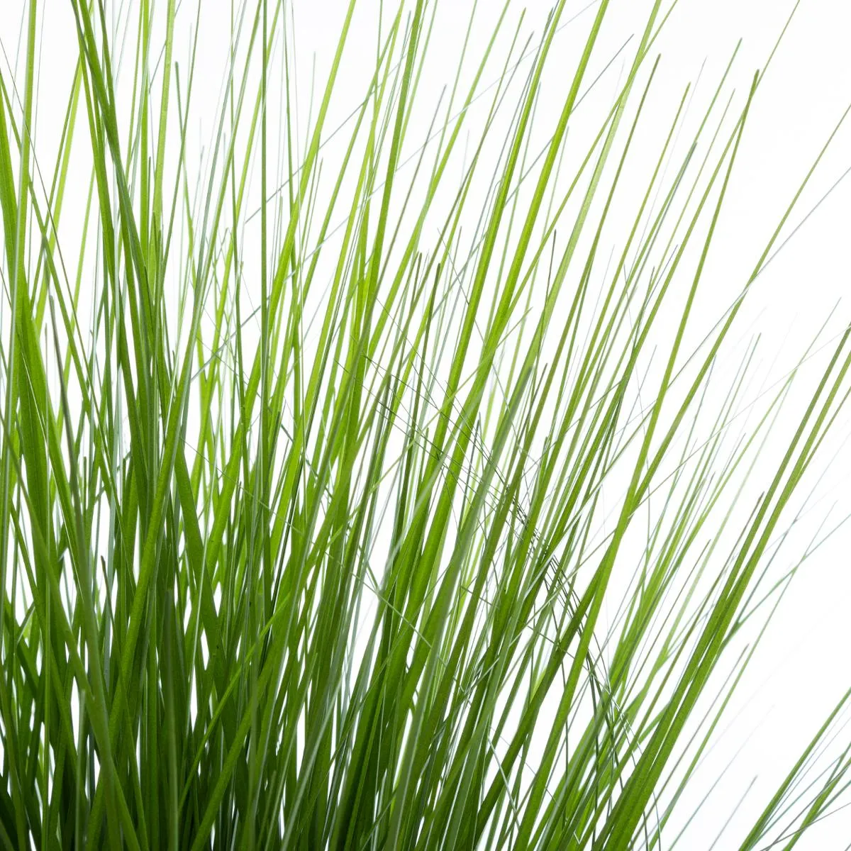 Atmosphera, Createur D'Interieur Bouquet Herbe Atmosphera – 74 cm