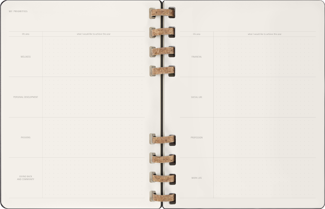 Life Planner 2025 XL 12-Month, Spiral