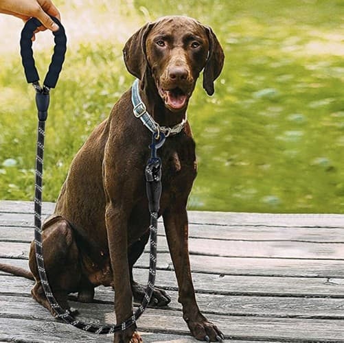 Hundebånd med Refleks / Bånd til Hund - 3m
