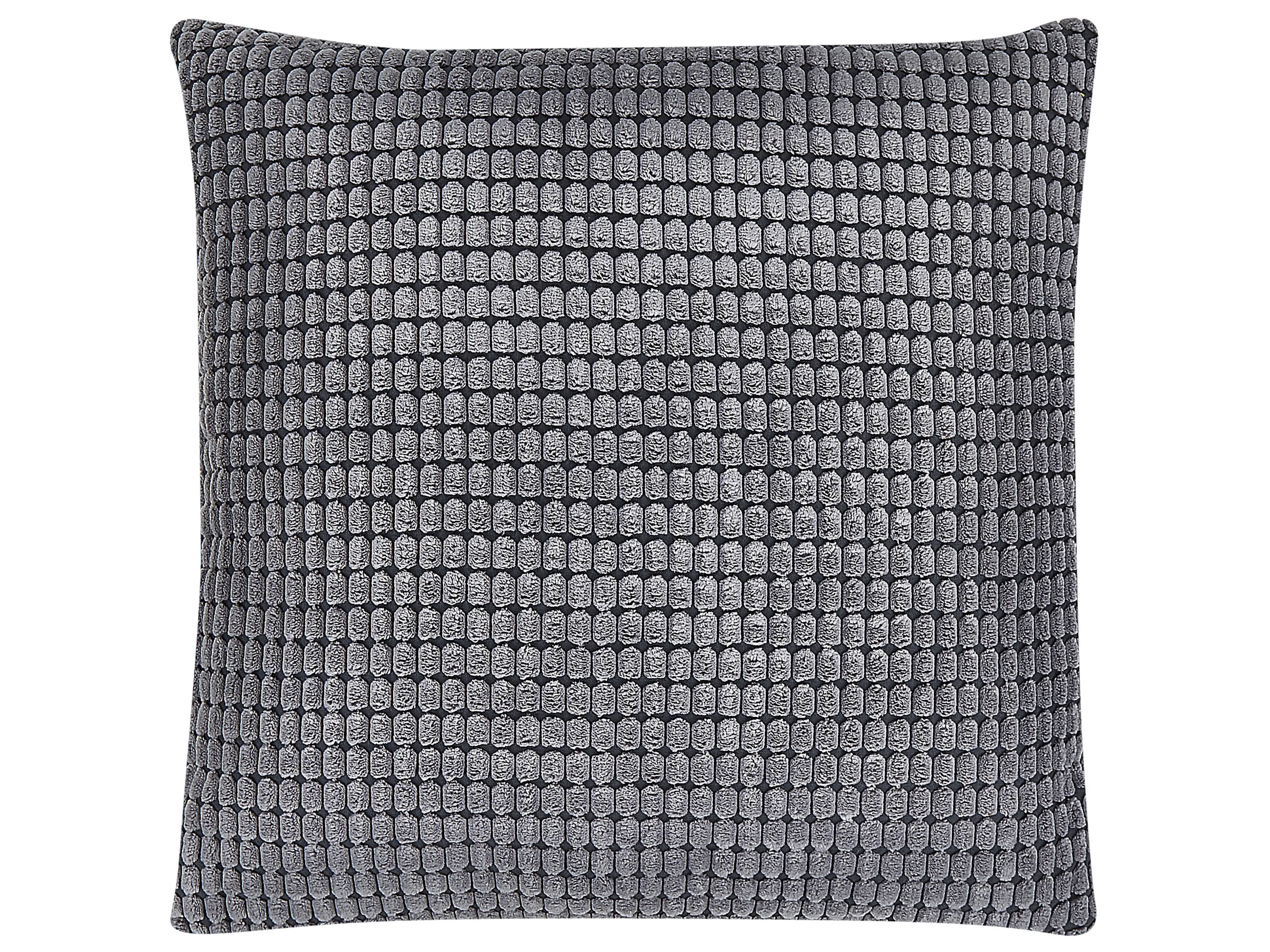 Set van 2 sierkussens ASPIDISTRA Fluweel 45 x 45 cm Grijs geometrisch patroon
