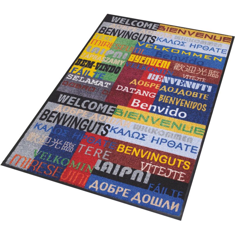 Tapis d'entrée déco, multicolore