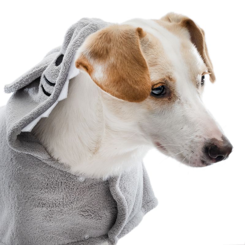 Peignoir TIAKI Requin pour chien