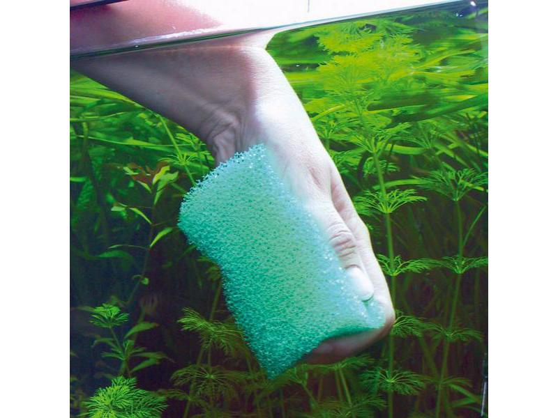 JBL Scheibenreiniger Spongi Reinigungsschwamm, 11.5 x 9 cm, Reinigungsschwamm für Aquarien und Terrarien