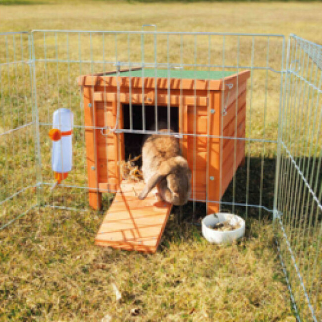 Habitat en pin vernis Natura pour rongeurs