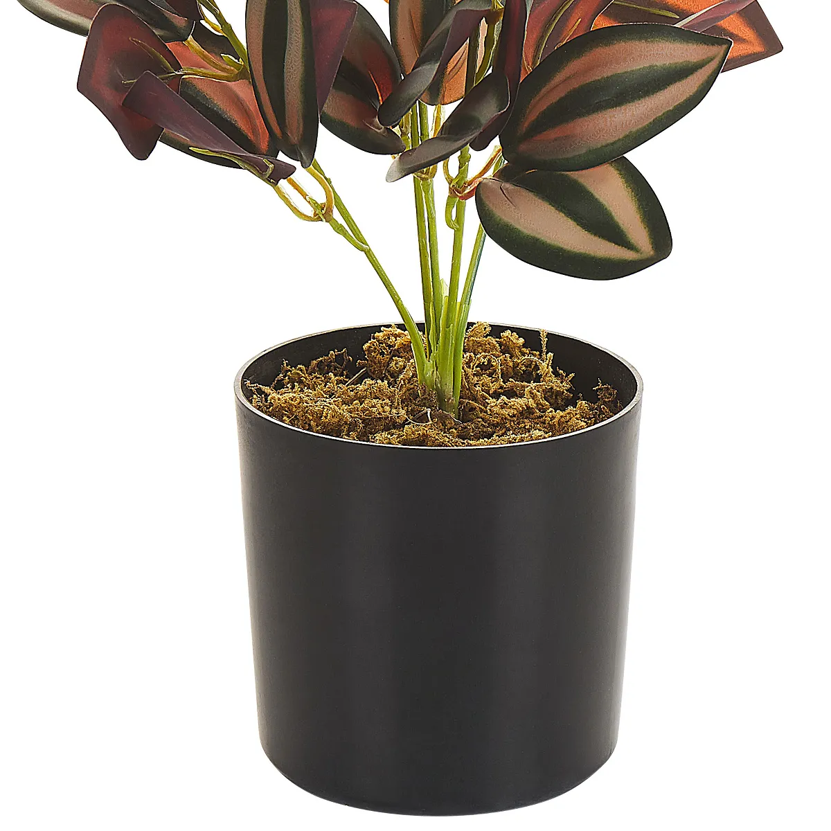 Beliani Plante Artificielle TRADESCANTIA 35 cm