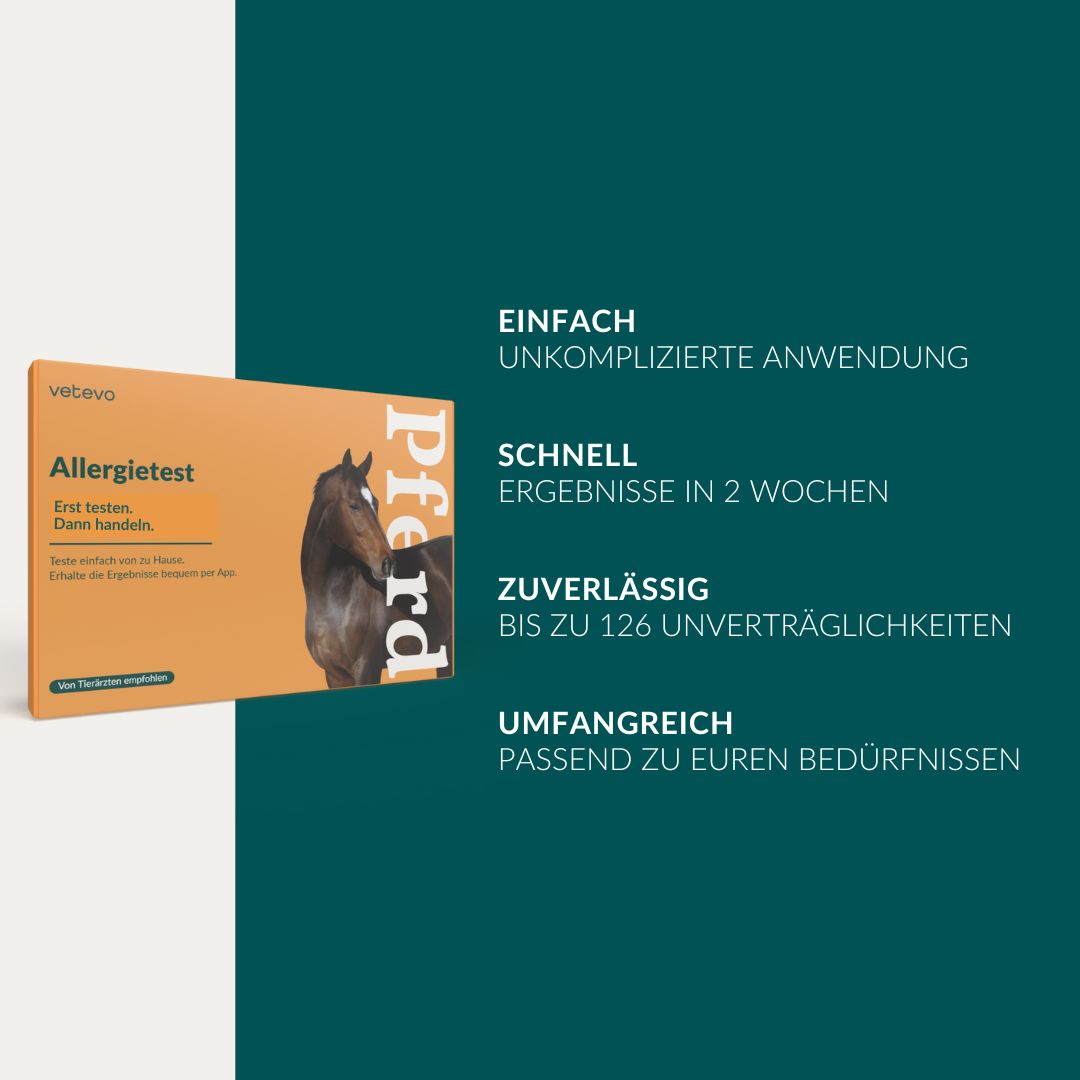 Mikronährstofftest - Mängel Pferd