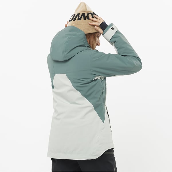 Veste de ski SALOMON BRILLIANT JACKET W MISTY BLUE/NORTH ATLA