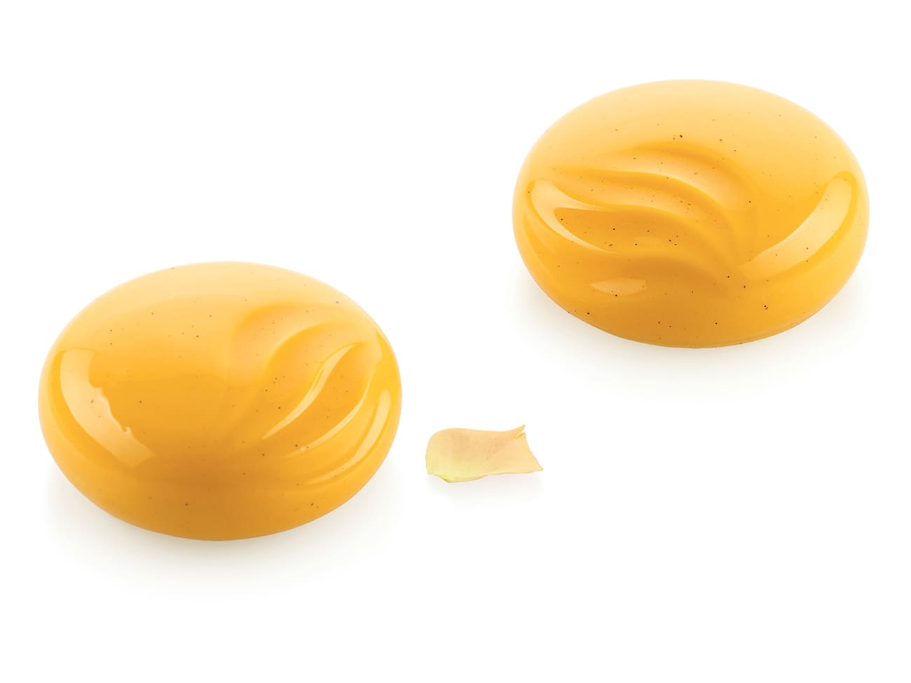 Moule silicone Ocean - Ø 7 x ht 3 cm - Silikomart