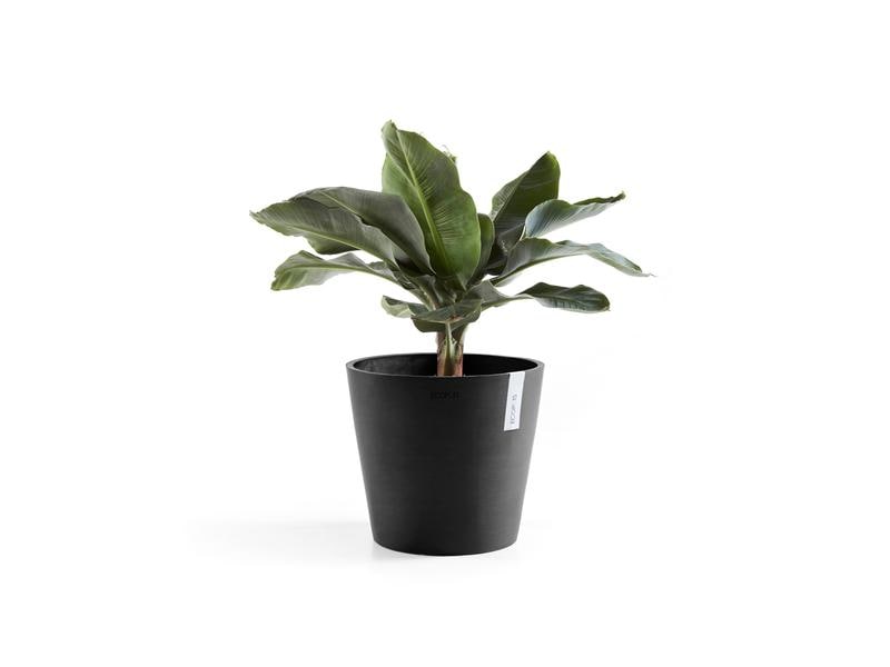 Ecopots Pflanzentopf Amsterdam 40, Dunkelgrau Robuster und langlebiger Blumentopf