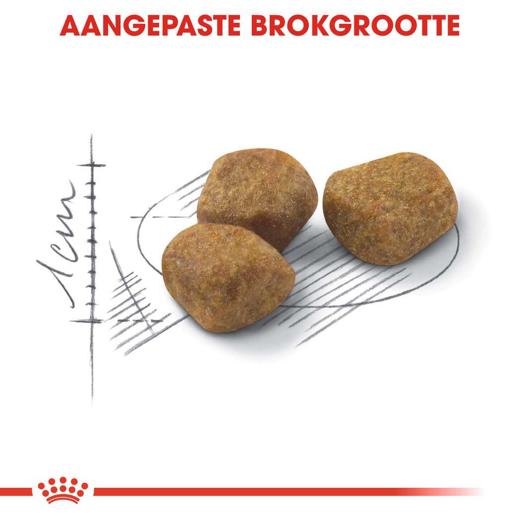 Royal Canin Indoor 7  - Kattenvoer - 400 Gram - Gevogelte