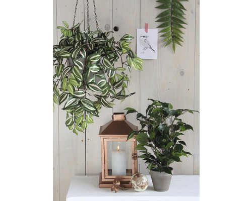Kunstplant Ficus natasja (treurvijg) Ø 30 H 40 cm groen