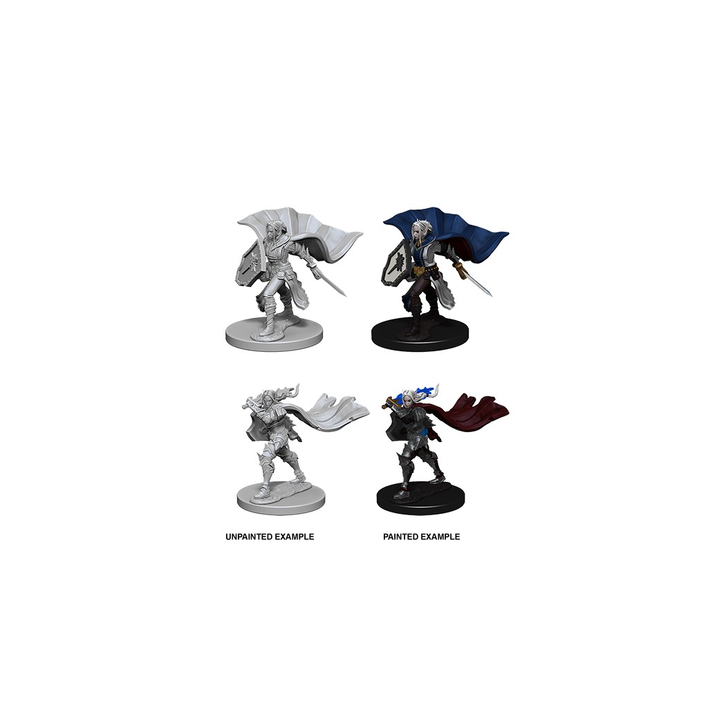 Pathfinder Deepcuts Unpainted Miniatures: Elf Female Paladin