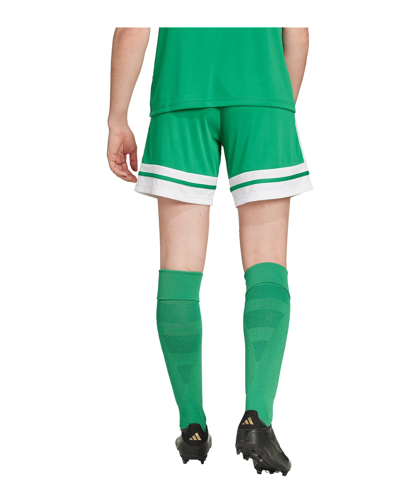 adidas Squadra 25 Short Damen Grün
