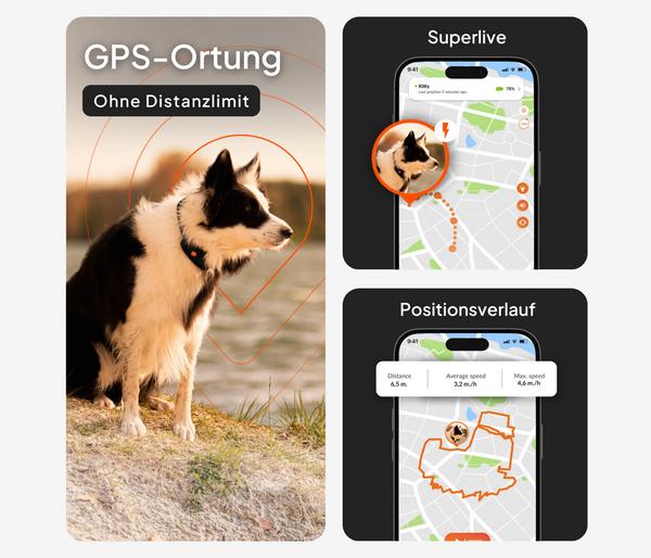 Weenect XT GPS-Tracker für Hunde inkl. JK9