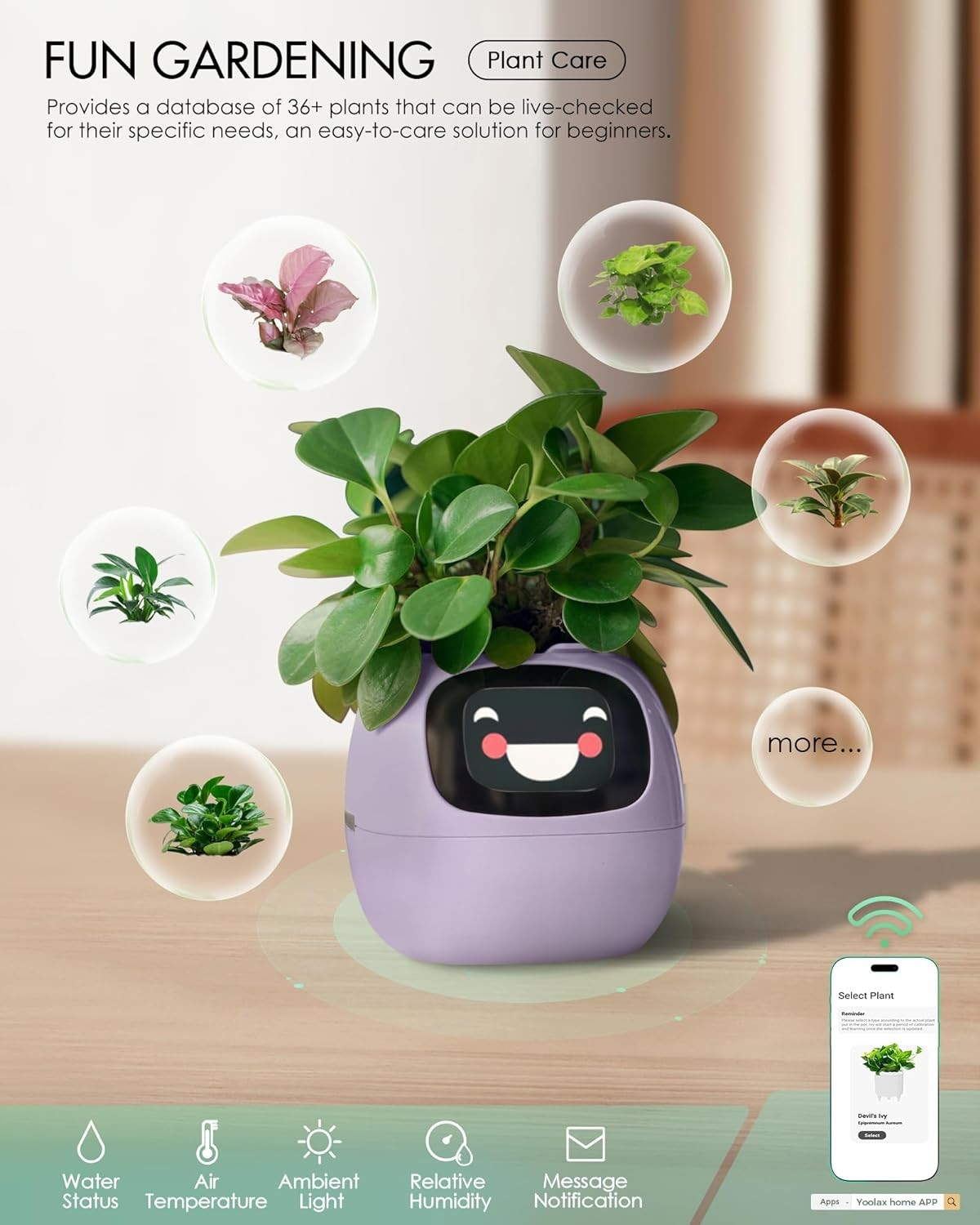 (9x9cm) Intelligenter Mini USB Blumentopf Home Deko Pflanzen Übertopf mit 40 Emotionen / LCD Display inkl. Kieselsteine (iOS/Android) - Ivy / Lila