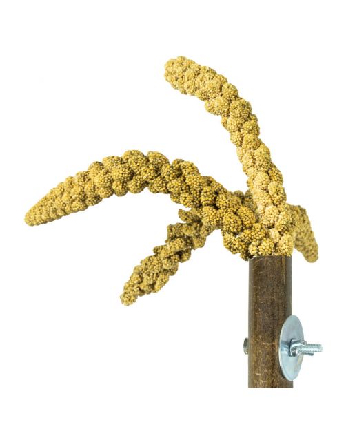 Back Zoo Nature Bamboo Grass Keeper - Vogelspeelgoed - 3x3x20 cm