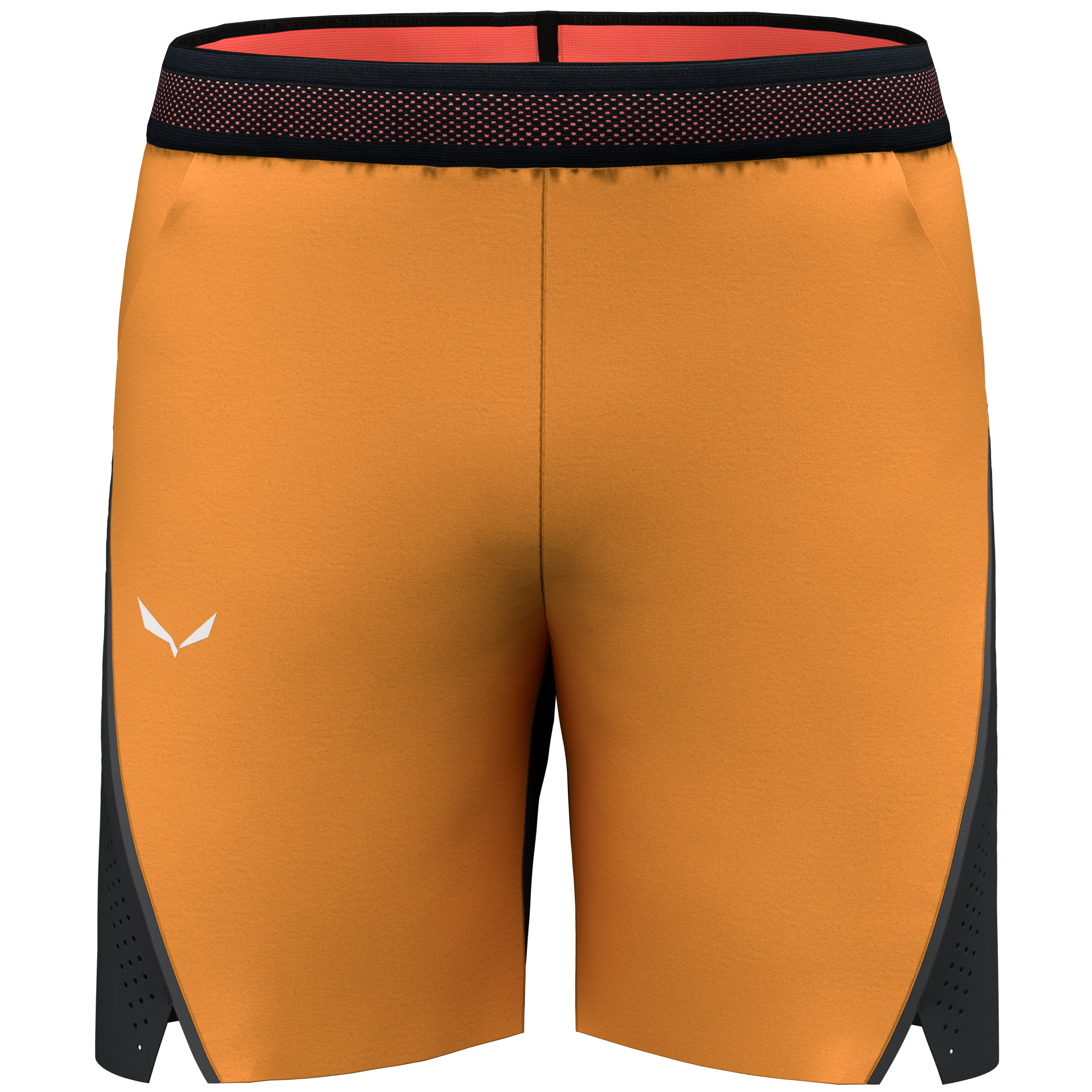 Pedroc 2 Durastretch Shorts Herren