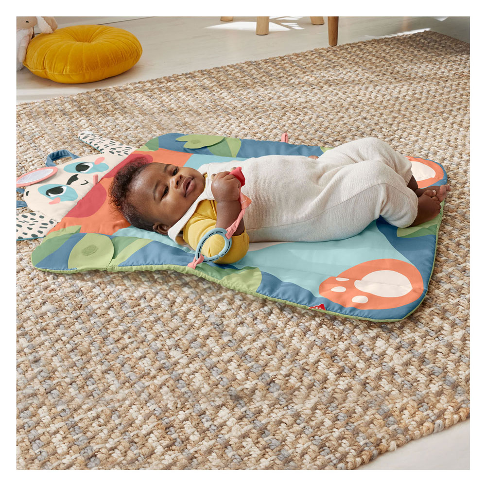 Fisher Price Panada Rol en Speelmat